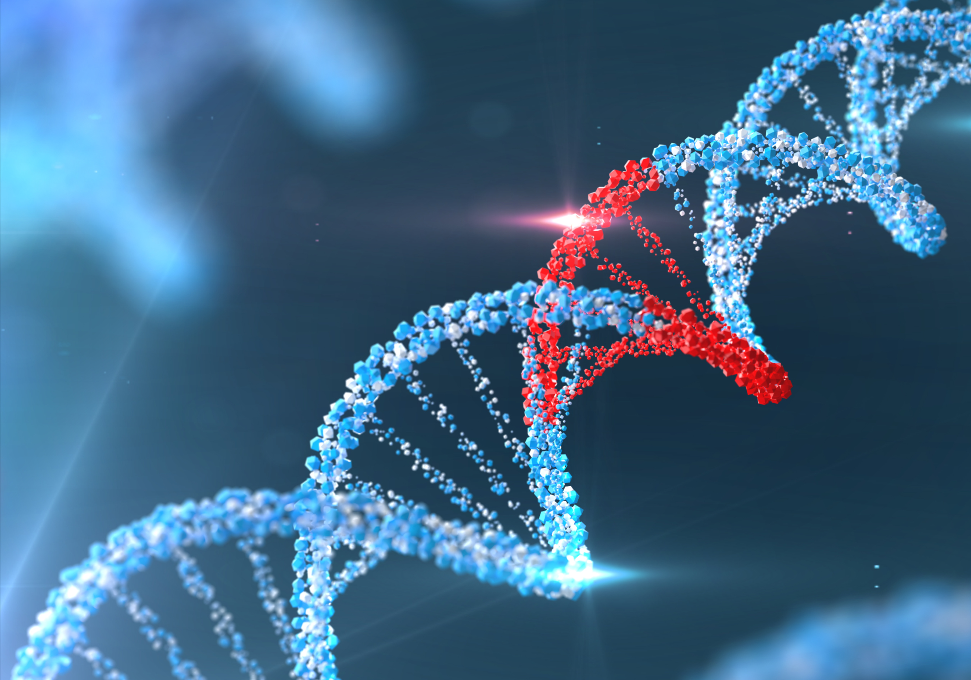 Untitled design (86)