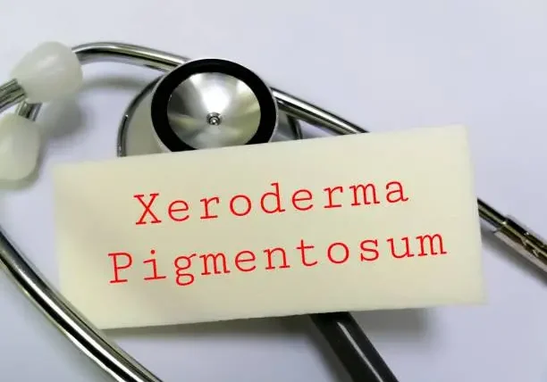 istockphoto-1906272320-612x612